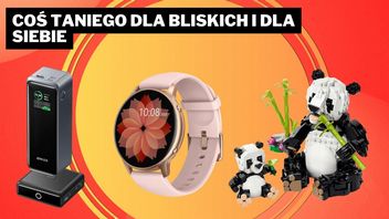 Najciekawsze oferty Amazona - od Zeldy w wersji LEGO po kolekcjonerkę Street Fightera 6