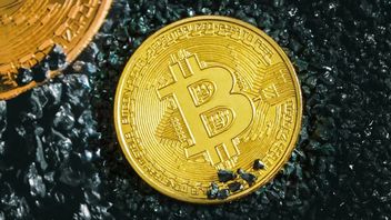 Człowiek, który od wielu lat szuka w na śmietniku 3 miliardów złotych, które zgubił na dysku twardym, żegna się ze swoją fortuną