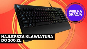Śmieszne pieniądze jak za najlepszego przyjaciela gracza. Klawiatura Logitech G213 Prodigy pomogła mi w pokonaniu Dzikiego Gonu