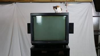 Waży ponad 200 kg i kosztował tyle, co mieszkanie; ten telewizor Sony nie miał prawa istnieć