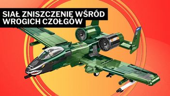 Widzisz ten samolot z rekinimi zębiskami? Przez grę z jego udziałem w 1996 roku marzyłem o byciu pilotem