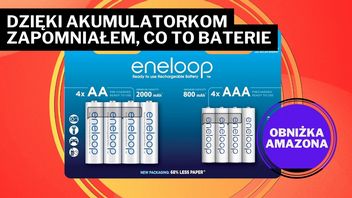 Gamepad, pilot, sprzęt muzyczny. Co je łączy? Te akumulatorki, dzięki którym zapomniałem, czym są baterie