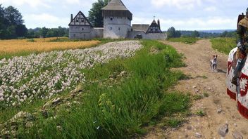 Kingdom Come: Deliverance 2 w swojej domyślnej formie sprawia graczom nieco problemów. Sieć zalały mody upraszczające masę mechanik