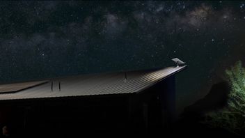 Starlink - alternatywy. Wskazujemy innych dostawców Internetu satelitarnego