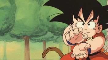 „Myślę, że pewnego dnia to się stanie”. Remake Dragon Balla ma być nieunikniony