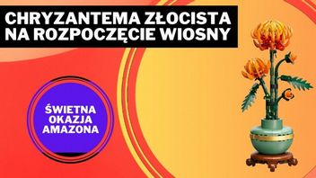 Chryzantema LEGO rozświetli Twój pokój na wiosnę. Tego zestawu z kwiatami nie będziecie musieli podlewać