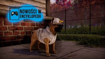 Nowa strategia od Hooded Horse zmiksuje XCOM z Commandos, izometryczne RPG Dustwind dla fanów Fallouta wkrótce otrzyma kontynuację