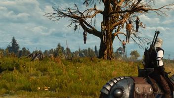 „Dąb Geralt” może zostać pomnikiem przyrody pod oknami twórców Wiedźmina - ruszyła petycja w Warszawie