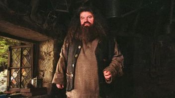 „Nigdy nie będę Robbiem”. Nowy aktor zdradza, jak podejdzie do roli uwielbianego Hagrida w serialu Harry Potter