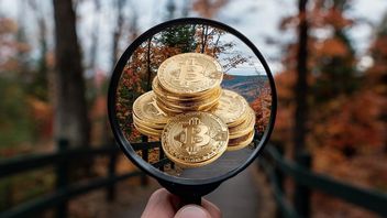 Przez 12 lat szukał na wysypisku śmieci swojego dysku twardego z kluczem do ponad 3 miliardów zł w Bitcoinach - teraz zaczyna się nowy rozdział jego historii