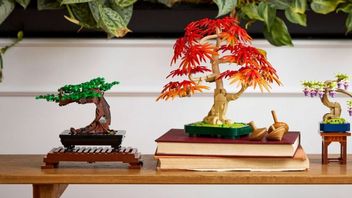 Nowe zestawy roślinne LEGO ujawnione. Oprócz hibiskusa tym razem do sklepów trafi cały zestaw drzewek bonsai