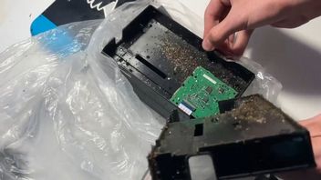 Gracz zmierzył się z obrzydliwym i niebezpiecznym problemem. Mrówki zawładnęły jego stacją dokującą do Switcha