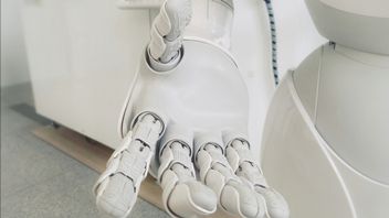 Rada miasta zatrudniła robota jako urzędnika. Skończyło się na tym, że rzucił się ze schodów po roku wykonywania pracy