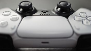 Gracz PS5 przygarnia wróbla, którego prawie złapał dmuchawą do liści, teraz po prostu siedzi na kontrolerze podczas grania