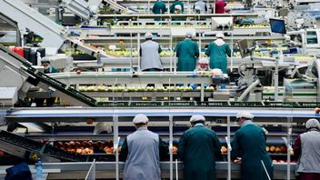 Przez AI do 2030 roku znikną 92 miliony miejsc pracy. Firmy ukrywają używanie sztucznej inteligencji za korporacyjnym językiem