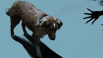 „Strona Does the Dog Die? odnotuje gwałtowny wzrost ruchu”. Internauci jeszcze nie widzieli horroru niczym Chojrak, tchórzliwy pies, ale już pokochali głównego bohatera