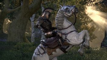 Gracz zmienił konia z Obliviona w rakietę. Tak radykalne zaczarowanie wierzchowca dało komiczny i niemożliwy do kontrolowania efekt