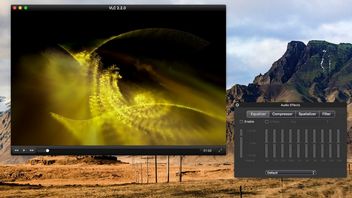 Twórca VLC odrzucił ofertę sprzedaży wartą miliony, dzięki czemu VLC pozostanie bezpłatny dla wszystkich, na zawsze. Społeczność do dziś mu dziękuje