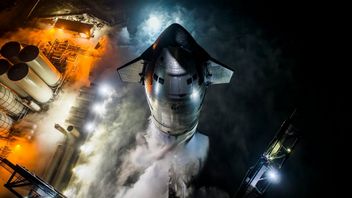 SpaceX osiągnęło niesamowite sukcesy dzięki statkowi kosmicznemu Starship. Problem polega na tym, że pracownicy płacą za to wysoką cenę