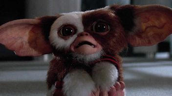 Gremliny 3 nadchodzą i mają datę premiery. Chris Columbus i Steven Spielberg po 37 latach powrócą w nowej odsłonie kultowej serii