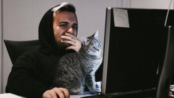 Część polskiego i globalnego internetu nie działa, w tym niektóre serwisy gamingowe