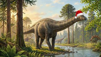 Ostatnio dowiedzieliśmy się, jaki kolor miał diplodok, i uznaliśmy, że święta to doskonały czas, by się tym podzielić