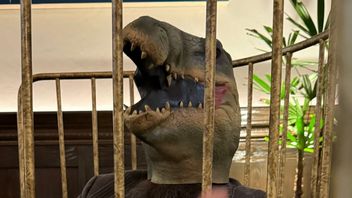 Szef Larian Studios jest „onieśmielony”. Skala nowej gry przytłacza nawet twórców Baldur's Gate 3