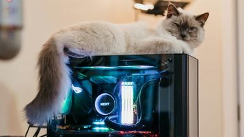 Kot ciągle wyłącza komputer gracza, ale ten stosuje rozwiązanie, które okazuje się bardzo popularne