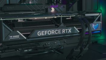 Wielki skok popularności kart graficznych z 16 GB VRAM według nowej ankiety Steam; AMD Radeon wciąż sobie nie radzi