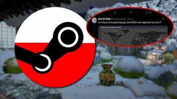 „Bo Polacy nie kupują mojej gry. Dla KOGO mam regulować tę cenę?”. Twórca z Polski chciał wyjaśnić zawiłości cennika na Steam, ale wpadł we własne sidła