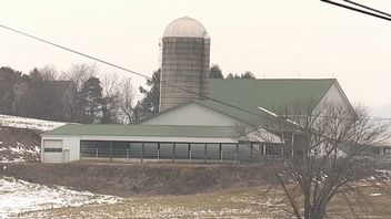 86-letni rolnik odrzucił ponad 15 milionów dolarów za pola pod centrum danych, ale zyskał prawie 2 miliony za ocalenie farmy