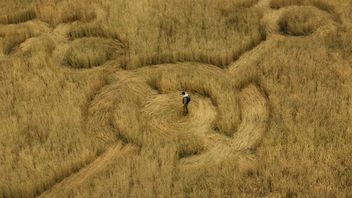 Trzy miesiące dzielą nas od premiery najważniejszego thrillera sci-fi tego lata. Dzień objawienia Stevena Spielberga ma pełny zwiastun