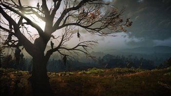 „Dąb Geralt” przy siedzibie CD Projekt RED oficjalnie stał się pomnikiem przyrody. Tysiące zebranych podpisów nie poszło w las