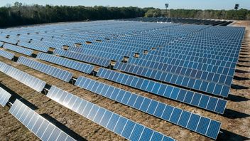 Największa farma fotowoltaiczna w Europie powstanie w Polsce i zostawi Niemców daleko w tyle