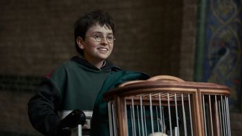 Tego bohatera Harry’ego Pottera może zagrać tylko jeden aktor? Fani chcą, żeby w serialu HBO do swojej roli powrócił jej odtwórca z filmów