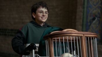3 lata temu zapowiedziano serial Harry Potter od HBO. Oto wszystko, czego dowiedzieliśmy się o nim od tamtego czasu