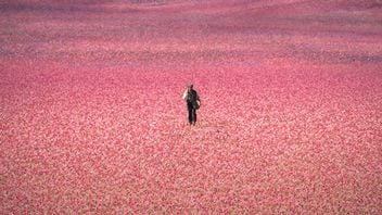 Dziś na Prime Video premiera adaptacji książki, która sprzedała się w milionach egzemplarzy i została przetłumaczona na 40 języków