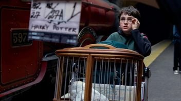 Serial Harry Potter odejdzie od zasady HBO. Premiera pierwszego odcinka odbędzie się w USA w piątek