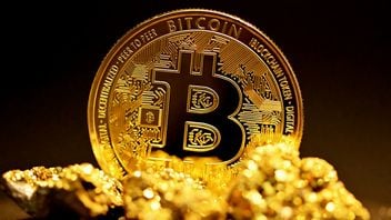 Handlarz bitcoinami odzyskał około 1,49 mln zł za pomocą Claude AI po tym, jak 11 lat temu zgubił hasło. Potrzeba było 3,5 biliona kombinacji, zanim udało się odszyfrować kopię zapasową portfela