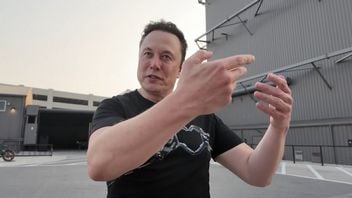 Elon Musk nazwał implanty „cudami na poziomie Jezusa”. Neuralink ma przywracać wzrok, ruch i dawać kontrolę nad komputerem