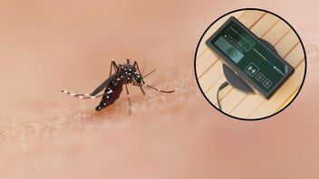 Żegnajcie, komary: to rewolucyjne urządzenie laserowe obiecuje wyeliminować je z waszego domu w ciągu 3 milisekund