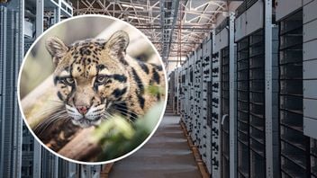 Zoo protestuje przeciw budowie centrum danych. 322 tysiące osób podpisało petycję przeciw budowie obok siedlisk zwierząt