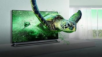 Koniec 3D TV