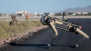 Psy-roboty patrolujące amerykańską bazę to nie film SF