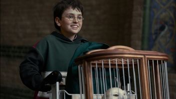Już trwają przygotowania do 2. sezonu serialu Harry Potter, mimo że nie widzieliśmy 1. Obsadzono najgorszego profesora Hogwartu