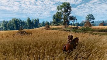 Wydajność remastera Wiedźmina 3 na PS5 Pro i Switch 2. Polskie RPG wykorzysta unikalne funkcje konsoli Nintendo