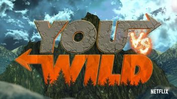 Netflix stworzy show w stylu Bandersnatch z Bearem Gryllsem