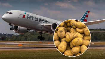 W 2012 roku firma Boeing zastąpiła pasażerów 9 tonami ziemniaków: genialna decyzja, która rozwiązała problem z Wi-Fi w samolotach