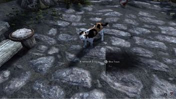 Mod do Skyrim pozwoli adoptować kota