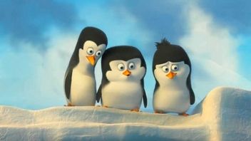 Ziarno prawdy, Pingwiny z Madagaskaru, Teoria wszystkiego - weekendowe premiery filmowe